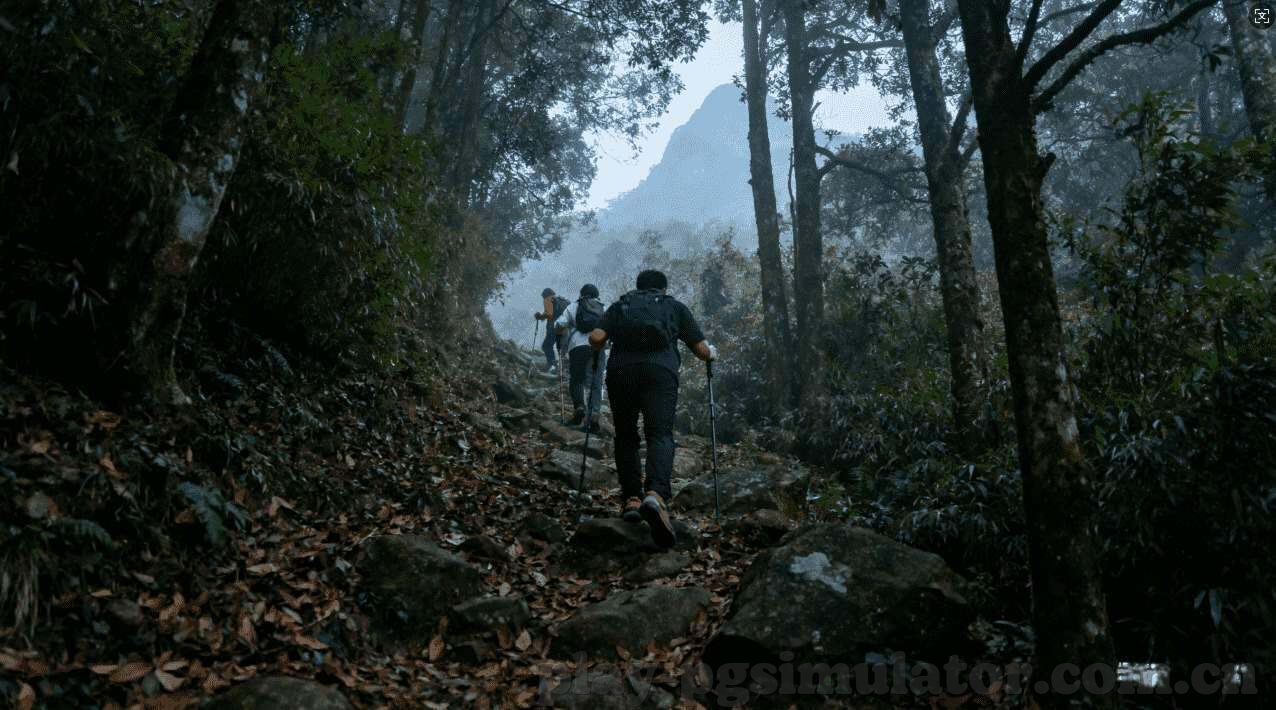 世界杯比赛丹麦-丹麦足球，世界杯舞台上的北欧之光